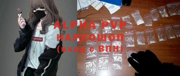 прущие грибы Богданович