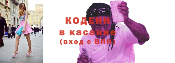 прущие грибы Богданович