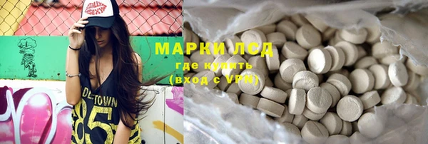 прущие грибы Богданович