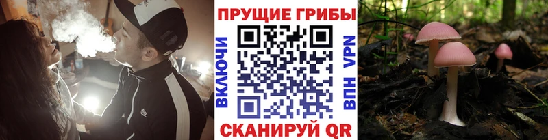Псилоцибиновые грибы Psilocybine cubensis  гидра зеркало  Славгород 