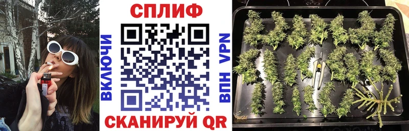 Бошки марихуана Ganja  Славгород 